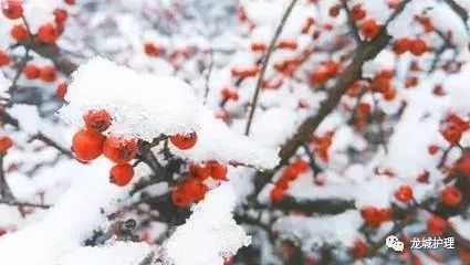 微信圖片_20191208222531.jpg