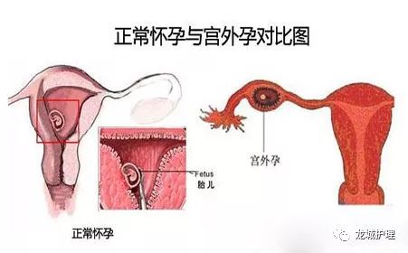 微信圖片_20191208230017.jpg