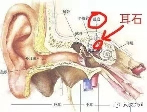 微信圖片_20200113.jpg