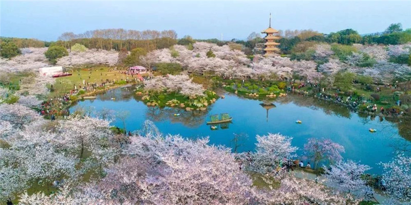 微信圖片_20200219093738.jpg