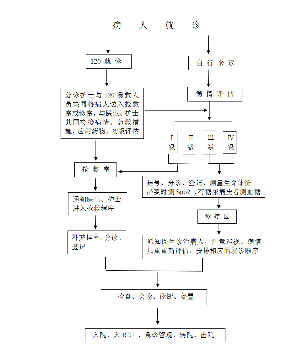急診檢驗(yàn)、分診工作流程1.jpg